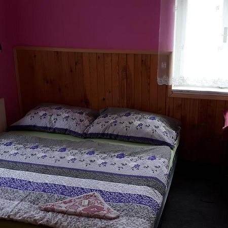 Hotel Orlice Дештне в Орлицких горах Экстерьер фото