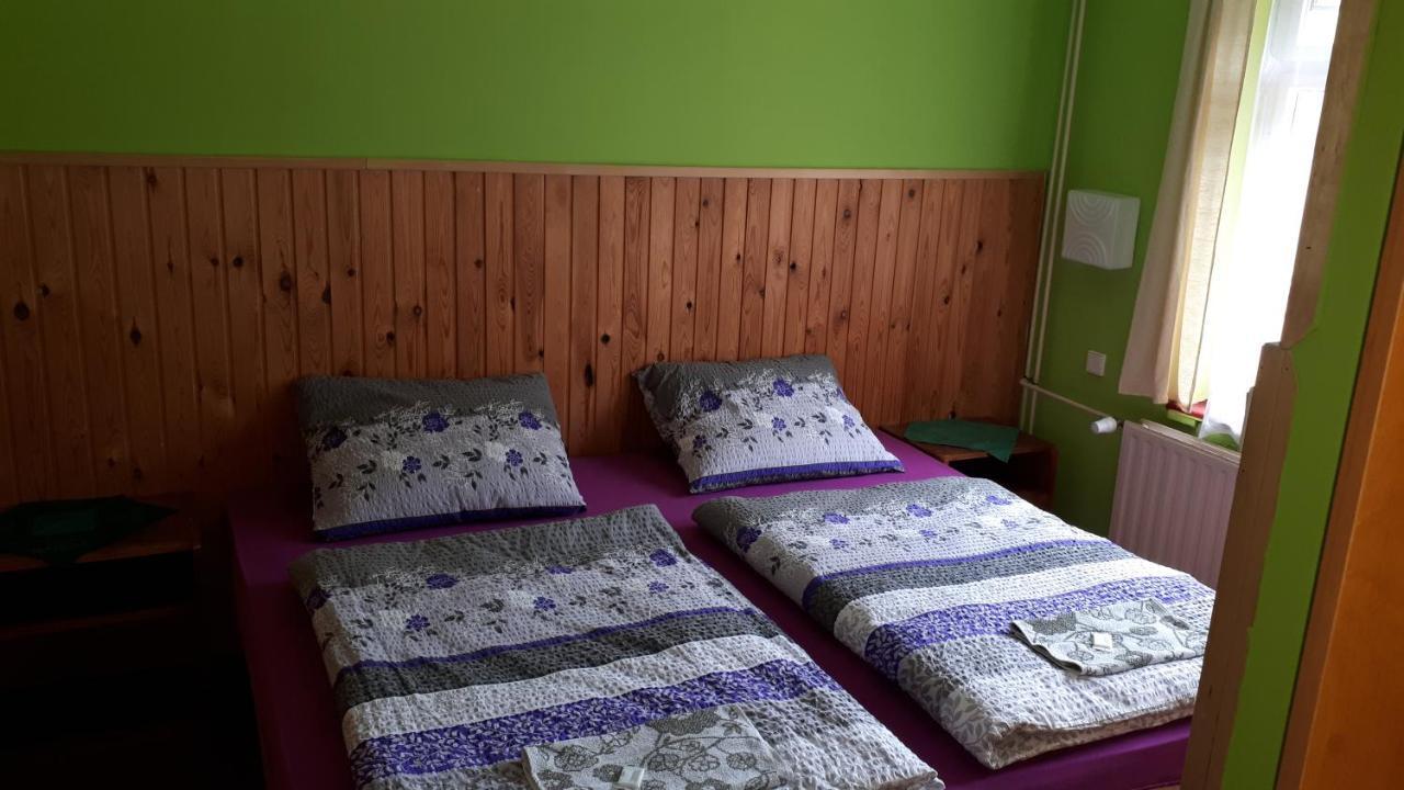 Hotel Orlice Дештне в Орлицких горах Экстерьер фото